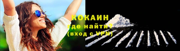 дурь Пестово
