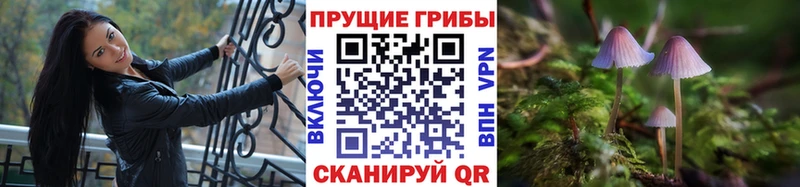 Псилоцибиновые грибы MAGIC MUSHROOMS  Купить закладки  Ак-Довурак 
